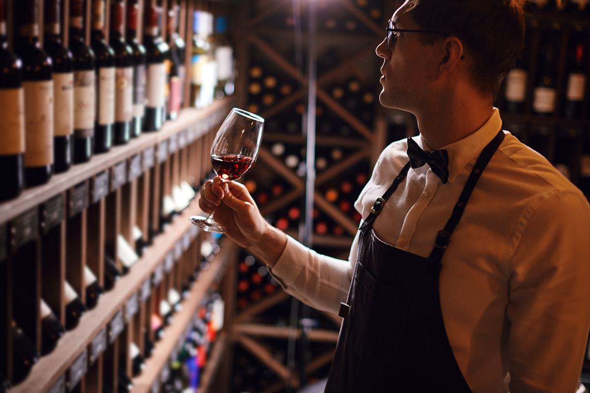 Sommelier steht im Weinkeller und hält ein Glas Wein in der Hand